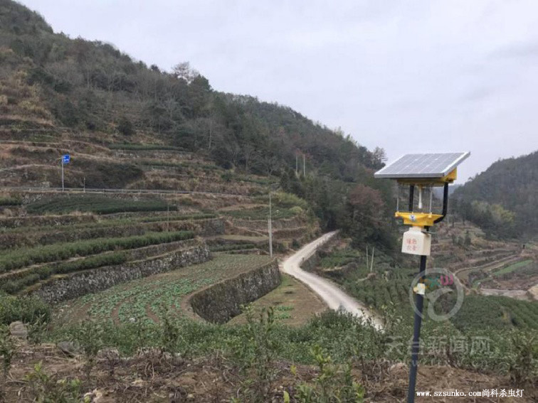 浙江天台茶园杀虫灯图片